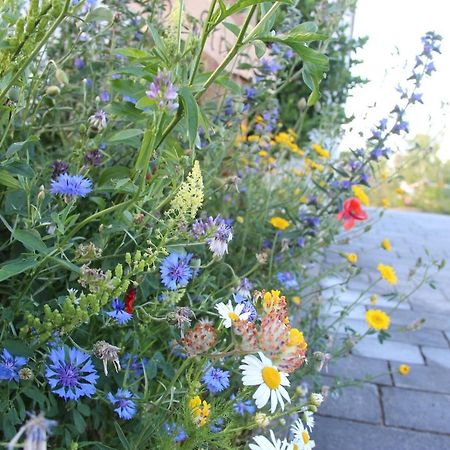 Ferienwohnungen "Blumenwiese" Dillingen an der Donau Eksteriør bilde