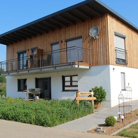 Ferienwohnungen "Blumenwiese" Dillingen an der Donau Eksteriør bilde