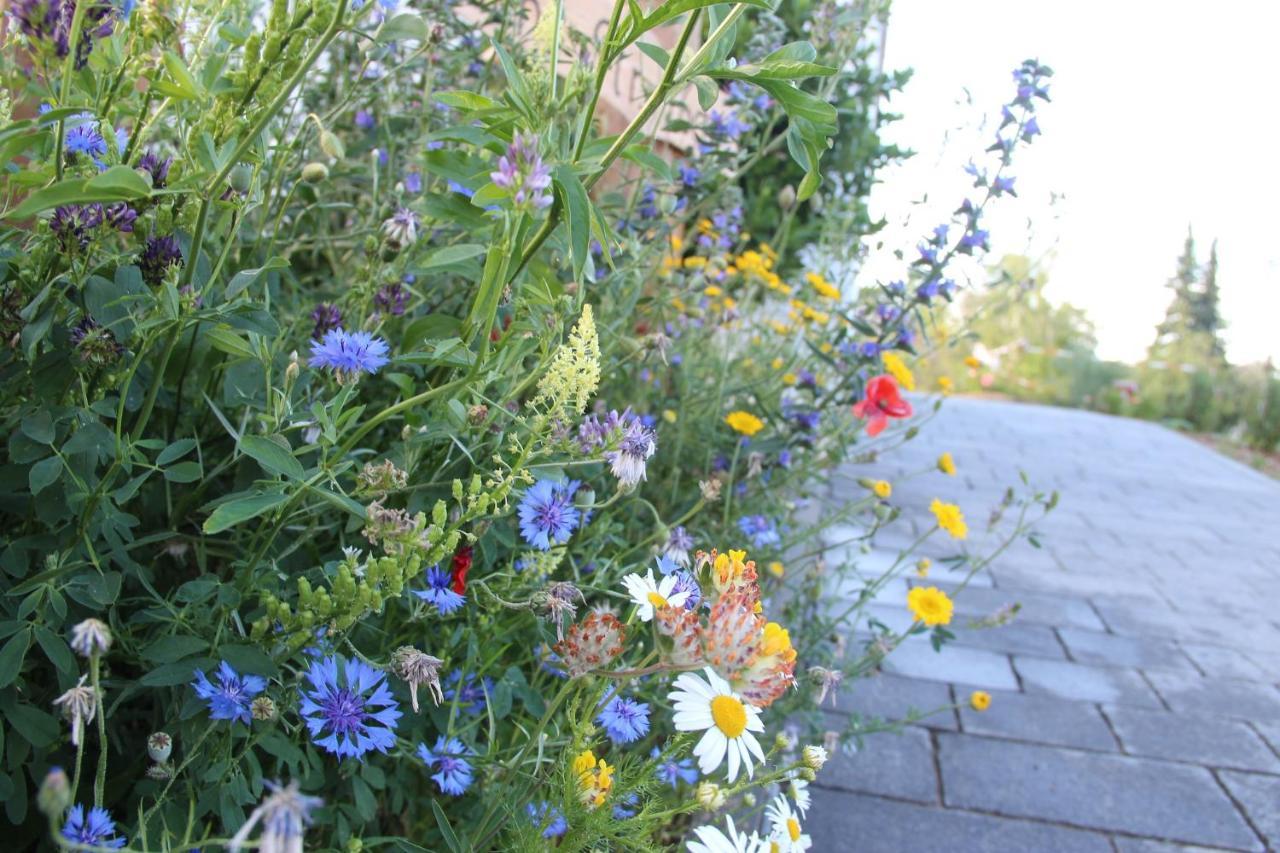 Ferienwohnungen "Blumenwiese" Dillingen an der Donau Eksteriør bilde