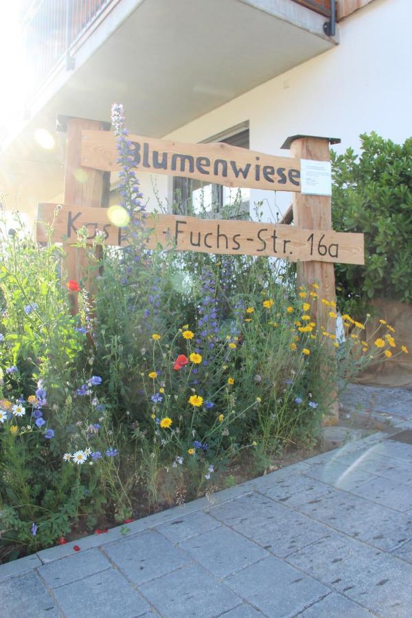Ferienwohnungen "Blumenwiese" Dillingen an der Donau Eksteriør bilde